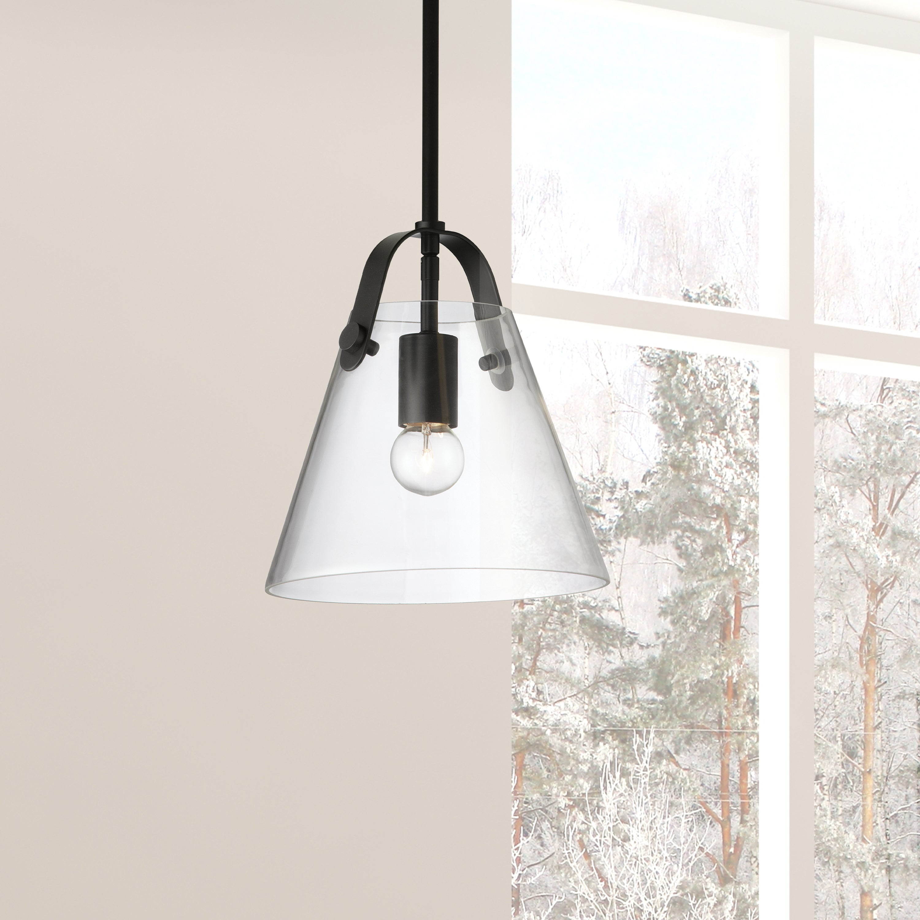 Dainolite Polly - 871-91P-MB - 1 Light Pendant, Matte Black w/ Clear Glass - Clear